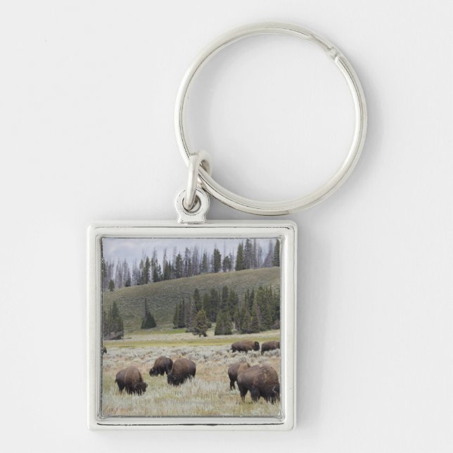 Porte-clés Bison dans la vallée de Hayden de Yellowstone (Devant)