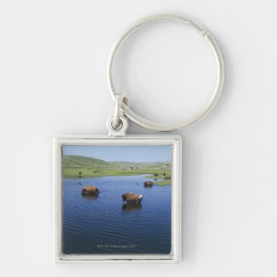 Porte-clés Bison dans l'eau avec de nombreuses hirondelles de