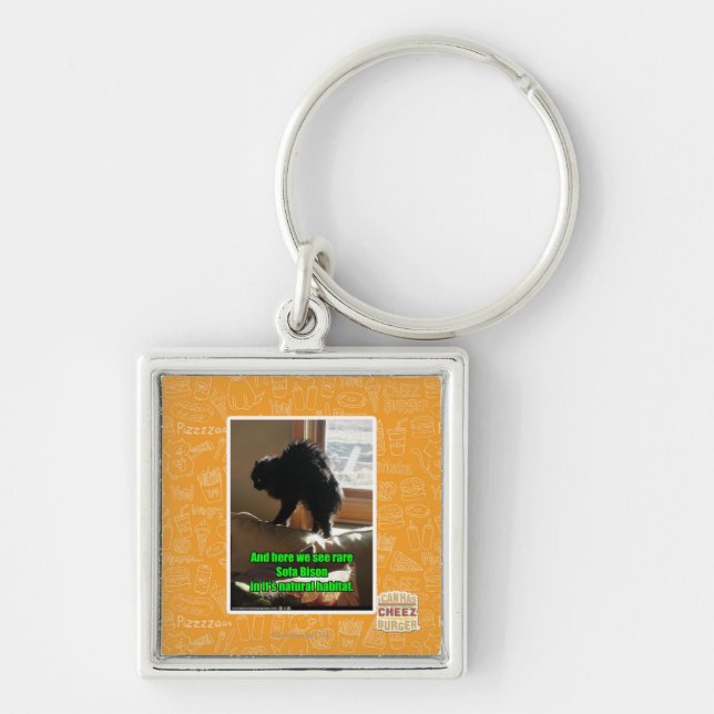 Porte-clés Bison de sofa (Devant)