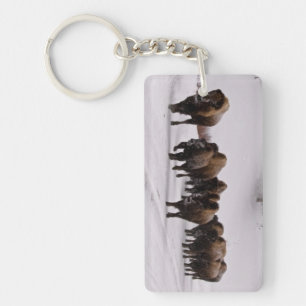 Porte-clés Bison en hiver