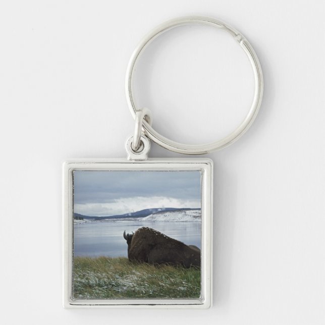 Porte-clés Bison se reposant par la rivière Yellowstone avec (Devant)