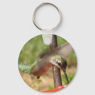 Porte-clés BK - Porte - clé de colibris