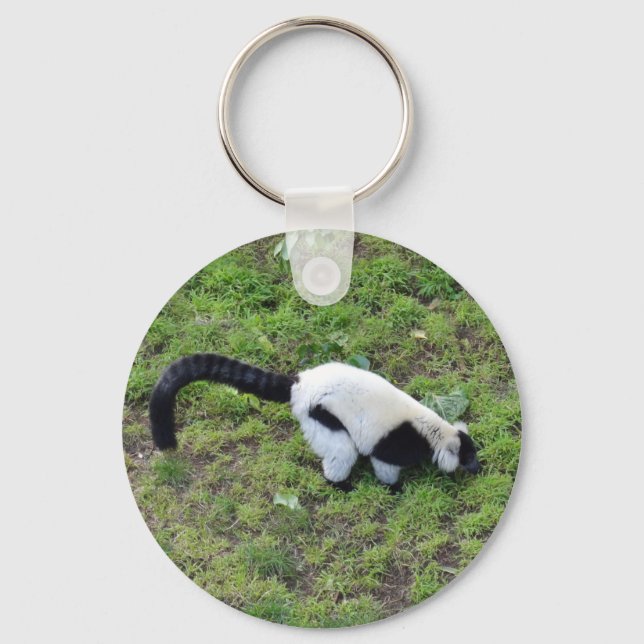 Porte-clés Black-and-white Ruffed Lemur #1 Keychain (Recto)
