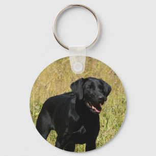 Porte-clés Black Lab in Field  Keychain