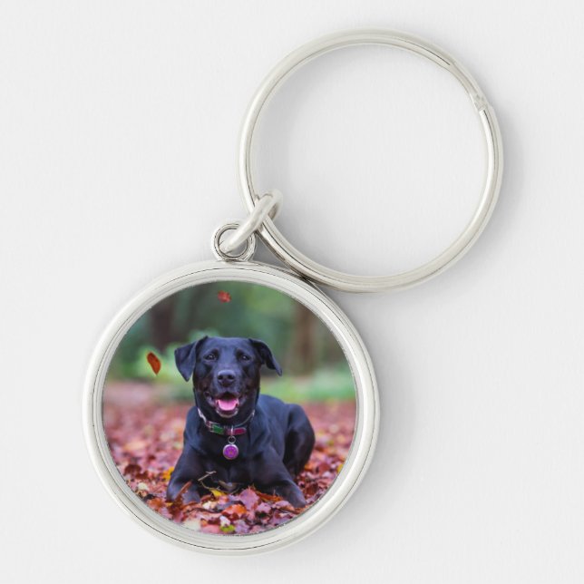 Porte-clés Black Labrador Dans Les Feuilles Automnes (Devant)