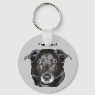 Porte-clés Black Labrador Retriever Chien Porte - clé