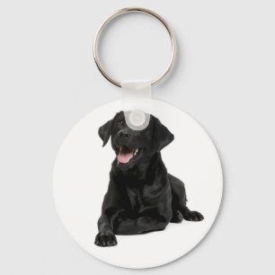Porte-clés Black Labrador Retriever Puppy Dog Porte - clé
