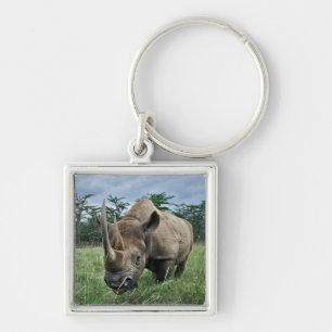 Porte-clés Black Rhinoceros Kenya