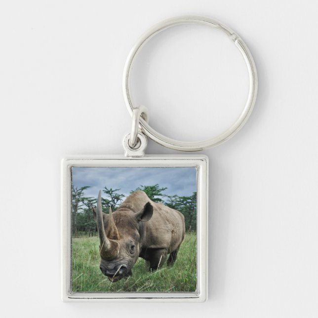 Porte-clés Black Rhinoceros | Kenya (Devant)