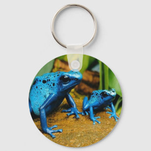 PORTE-CLÉS BLEU DE PORTE - CLÉ DE GRENOUILLE DE