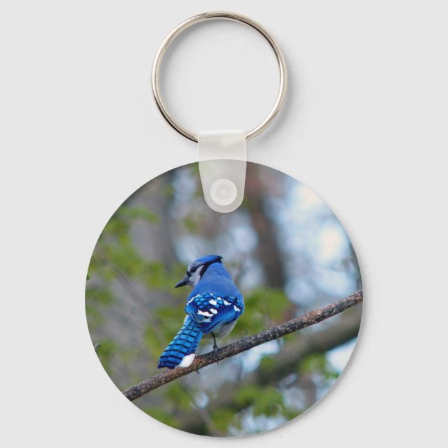 Porte-clés Blue Jay (Recto)