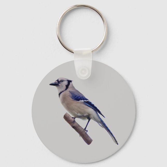 Porte-clés Blue Jay Bird (Recto)