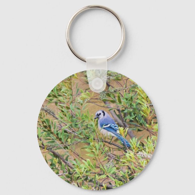 Porte-clés Blue Jay sur Southern Wax Myrtle (Recto)