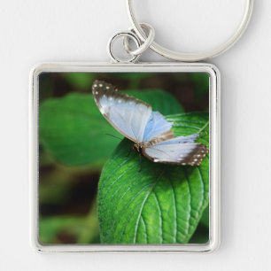 Porte-clés Blue Morpho 112 Porte - clé