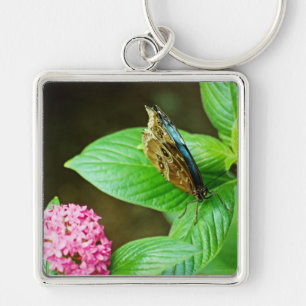 Porte-clés Blue Morpho 143 Porte - clé
