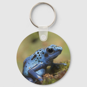 Porte-clés Blue Poison Dart Frog