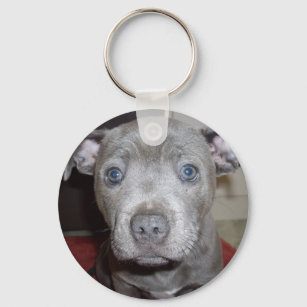 Porte-clés Blue Staffordshire Bull Terrier Puppy