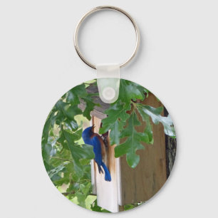 Porte-clés Bluebird à la maison