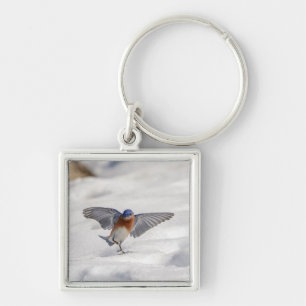 Porte-clés Bluebird oriental dansant dans la neige