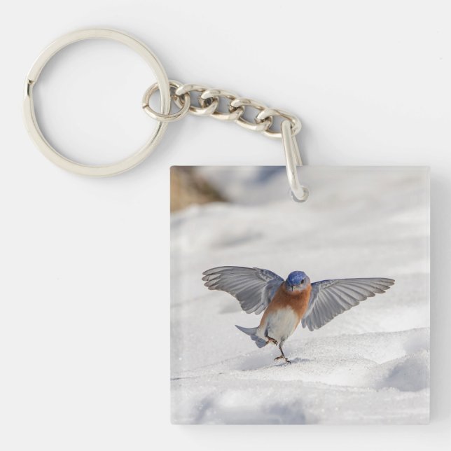 Porte-clés Bluebird oriental dansant dans la neige (Devant)