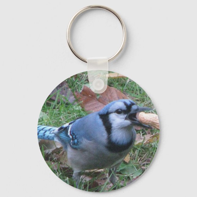 Porte-clés Bluejay Porte - clé par Koobear (Recto)