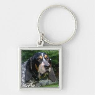 Porte-clés Bluetick Coonhound.png