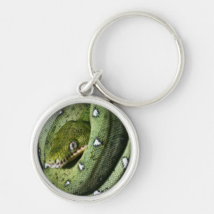 Porte-clés Boa vert de serpent vert d'arbre en Bolivie