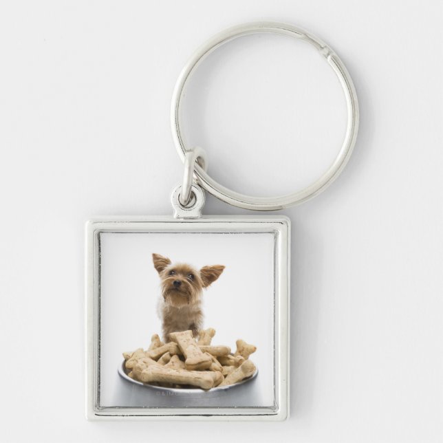 Porte-clés Bol de festins de chien par Yorkshire Terrier (Devant)