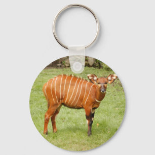 Porte-clés Bongo africain