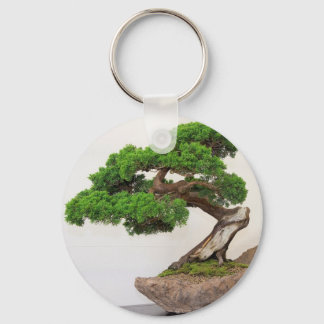 Porte-clés Bonsai arbre - naturel