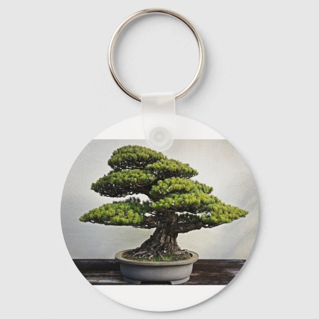 Porte-clés Bonsai de pin blanc japonais (Recto)