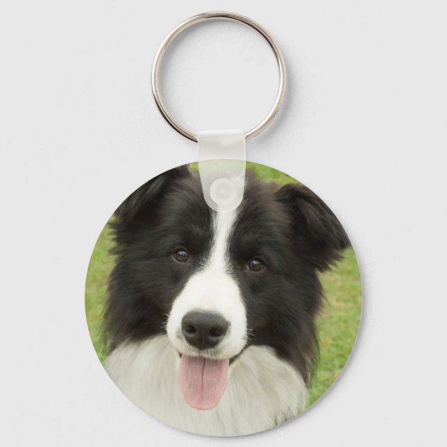 Porte-clés Bordure Collie (Recto)