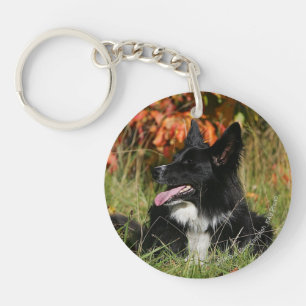 Porte-clés Bordure Collie Panne S'Étalant