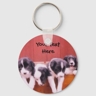 Porte-clés Bordure Collie Puppies Dans Porte - clé Tiroir