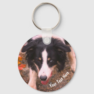 Porte-clés Bordure Collie Stare Chien Personnalisé