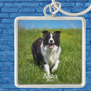 Porte-clés Bordure simple de photo d'animal familier Colley P