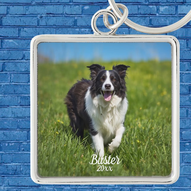 Porte-clés Bordure simple de photo d'animal familier Colley P (Customize this Keychain , Upload your pets Photo, name and current year, )
