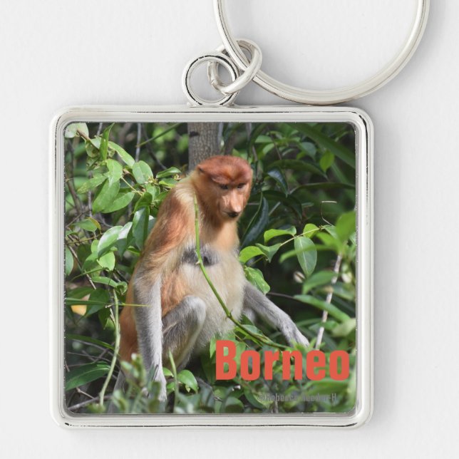 Porte-clés Borneo Proboscis Monkey Keychain (Devant)