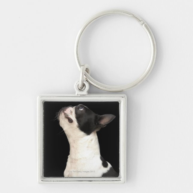 Porte-clés Boston noir et blanc Terrier recherchant (Devant)