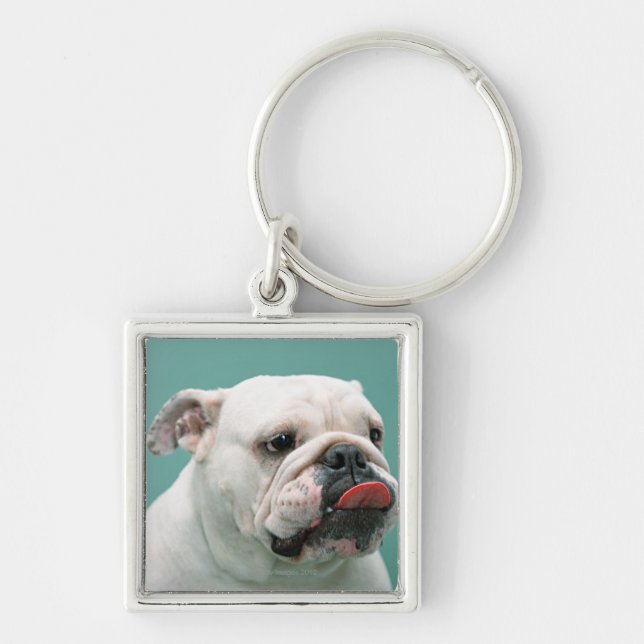 Porte-clés Bouledogue (Devant)