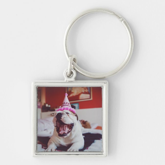 Porte-clés Bouledogue britannique des images | de Getty (Devant)
