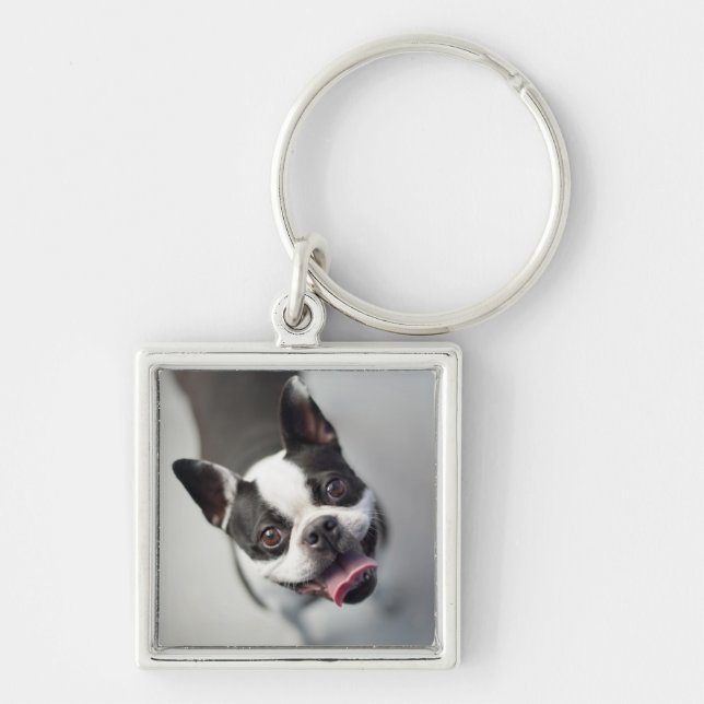 Porte-clés Bouledogue français des images | de Getty (Devant)