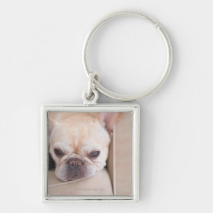 Porte-clés Bouledogue français se reposant sur le sofa