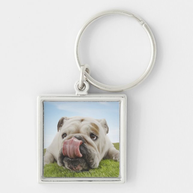 Porte-clés Bouledogue se trouvant sur l'herbe léchant des (Devant)