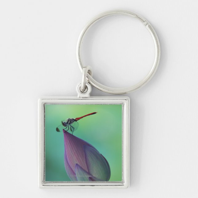 Porte-clés Bourgeon floral de Lotus et une libellule (Devant)
