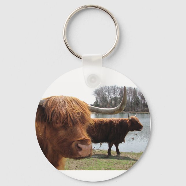 Porte-clés Bovins écossais des Highlands ~ porte - clé (Recto)