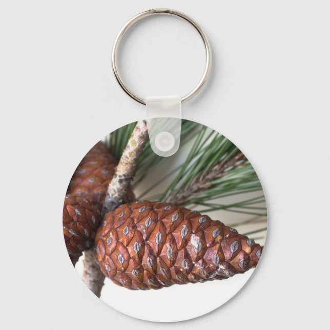 Porte-clés Branche de pin avec la pinecone (Recto)