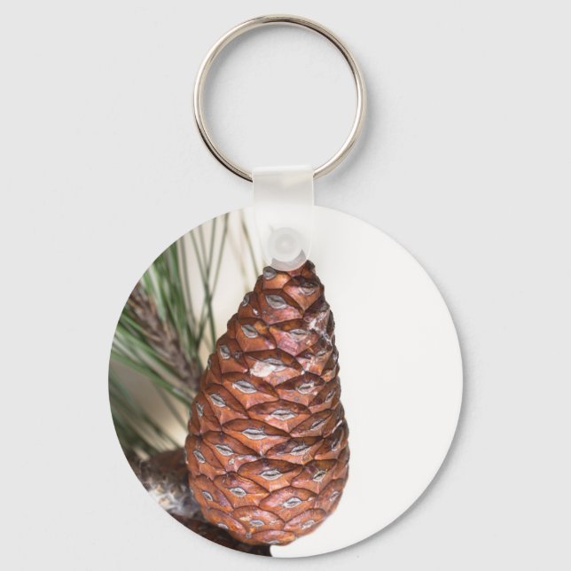 Porte-clés Branche de pin avec la pinecone (Recto)