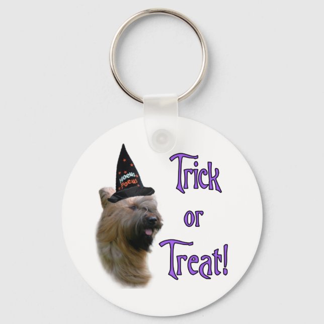 Porte-clés Briard Trick (Recto)