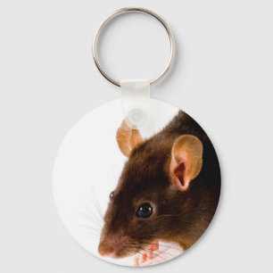 Porte-clés Brown Rat